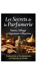 Les Secrets de la Parfumerie : Notes, Sillage et Signature Olfactive